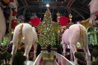 25-horses_leading_to_the_Christmas_tree