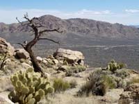 31-scenic_picture_from_Mommy_of_desert_scenery