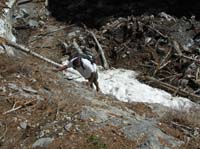 22-Roy_climbing_a_rock_wall