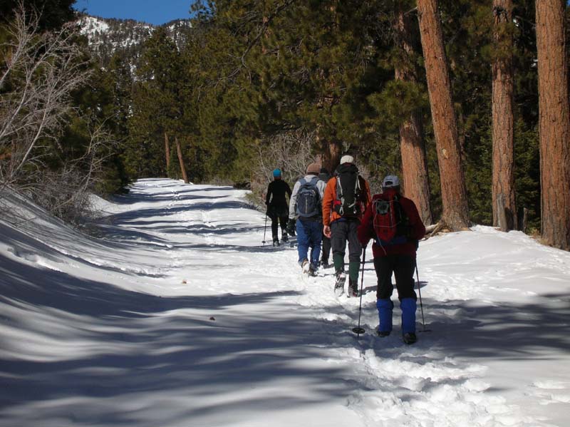 22-on_the_snow_covered_trail