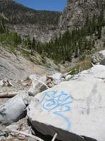 13-graffiti_at_Big_Falls