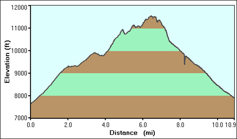 56-hike_profile