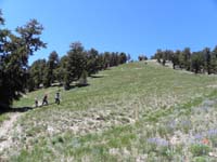 18-Kristi_Heather_and_Mary_with_the_meadows