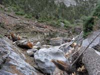 18-view_of_snow_after_climbing_that_log-turned_back_noticed_some_debris_covered_snow_below