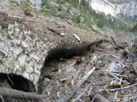 22-closer_look_at_snow-about_5_feet_deep