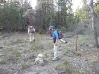 04-after_about_5_minutes_reach_a_barbed_wire_fence-follow_the_fence_up