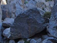 01-normal_end_of_Fletcher_Canyon_hike-scramble_to_right_of_rock,then_left_fork