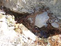 08-end_of_Fletcher_Spring-followed_spring_for_about_.5_miles_to_beginning