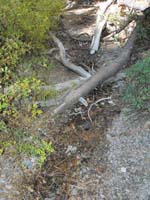 09-first_sign_of_Stanley_B_Spring