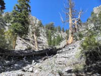 18-now_for_the_not_so_fun_part-lots_of_loose_scree-went_to_right_to_outcropping,came_down_from_straight