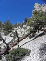 20-more_steep_sloping_scree-yucky
