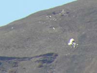 40-zoom_of_plane_crash_and_debris_below_Mt_Charleston