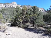 02-another_.3_miles_the_road_forks,it_loops_for_1.5_miles,I_took_left_fork
