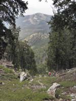 44-heading_down_drainage_leading_to_that_aspen_grove-Angel_Peak_in_distance