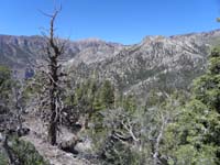 31-scenic_view_from_peak-Mt_Charleston_and_Cockscomb_Ridge