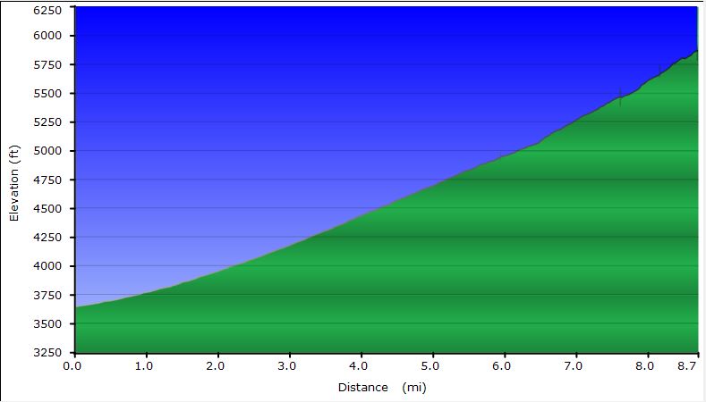 48-dirt_road_profile