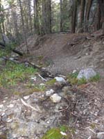 03-Macks_Canyon_Spring