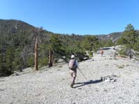 08-very_nice_easy_and_scenic_ridge_traverse
