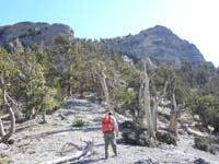 17-passing_through_the_bristlecone_pine_zone