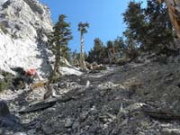 19-heading_up_steep_drainage