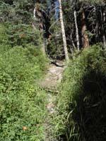 01-Stanley_B._Spring_is_dry-odd,but_dry_past_two_winters-half_normal_snow
