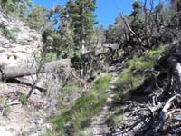 03-following_a_worn_path_created_by_other_hikers