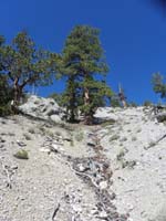07-more_steep_slopes-loose,but_not_too_bad