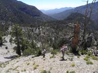 08-looking_back_to_others_walking_up_steep_slope-Fletcher_Junior_Peak_to_upper_right