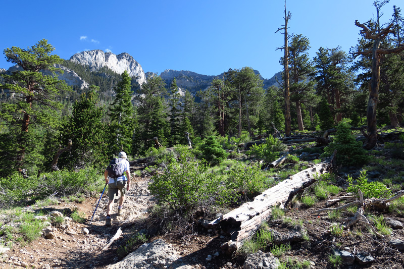 01-hiking_up_Trail_Canyon_Trail