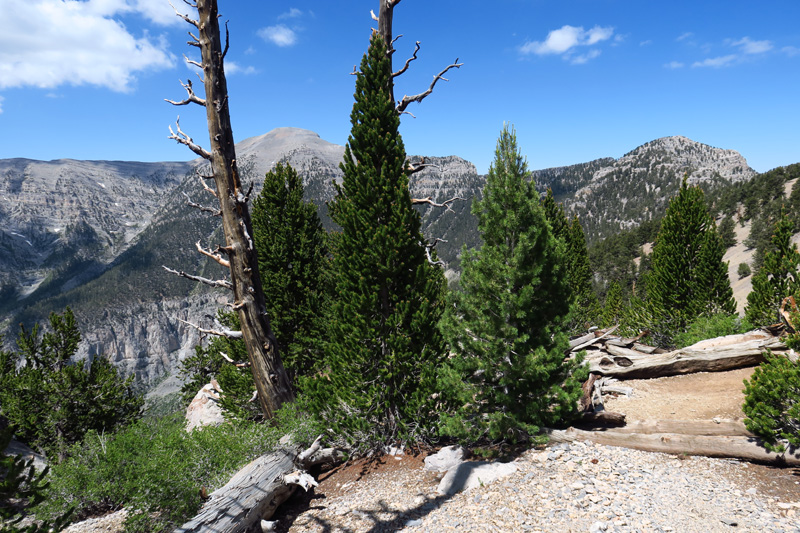 10-Mt_Charleston_and_Lee_Peak