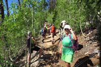 05-group_in_stand_of_aspens-would_be_very_neat_during_Fall