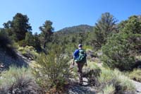 09-continuing_up_wash_with_peak_now_visible_in_distance-clean_wash_until_lots_of_bushwacking