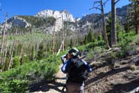 05-hiking_up_NLT_with_south_gully_ahead