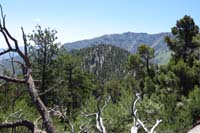 06-Fletcher_Junior_Peak_in_distance