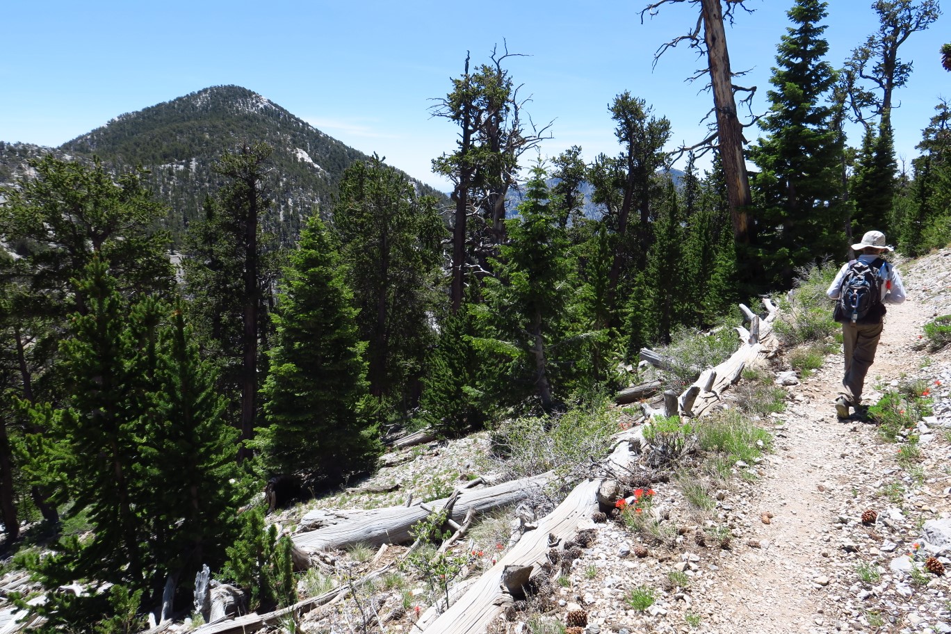 41-heading_back-Fletcher_Peak_in_background