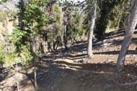 37-following_a_usage_trail_downhill_I_didn't_notice_earlier_before_reaching_Peak_10010