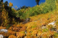 23-above_the_waterfall-too_bad_all_aspens_haven't_changed_color-still_pretty