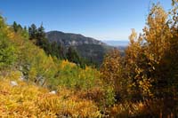 25-really_enjoyed_the_view,flowing_water,quaking_aspens_in_the_breeze