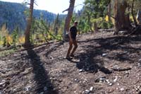 28-Brett_following_an_animal_trail_along_ridge