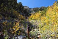 29-another_drainage_that_cliffs_out,turned_left_through_more_brush