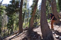 30-continue_exploring_through_pretty_forest_heading_that_direction