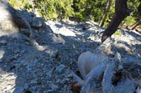 35-looking_back_to_Brett_carefully_scrambling_up