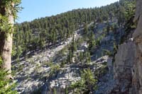 40-decided_to_head_up_that_steep_slope_to_SLT,.3_miles,1k_ft_up-actually_took_.6_miles,1_hour