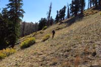 50-contouring_landscape_to_SLT_ridgeline_trail_to_minimize_gain
