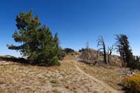 55-looking_down_trail_towards_Griffith_Junction_.6_miles_away