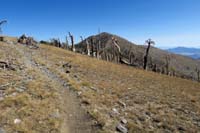 57-continuing_down_trail_to_Griffith_Junction-lots_of_burned_trees-haven't_been_here_for_years