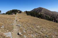 58-Griffith_Peak-very_nice_to_patches_of_trees_that_didn't_burn