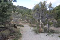 01-Sawmill_Trailhead