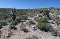 19-Rocky-reassure_E_area-added_cairns,scuffed_trail,moved_Joshua_Tree_limb_to_make_discernible