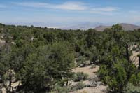 42-zoom_of_desert_scenery_in_distance